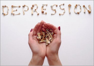 MUSHROOMS FOR DEPRESSION